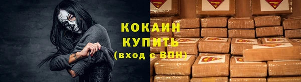 гашик Белокуриха