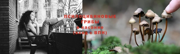 крисы Белоозёрский