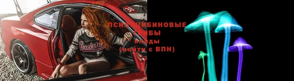 крисы Белоозёрский