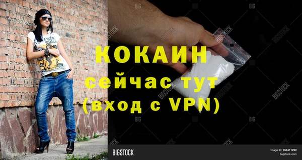 гашик Белокуриха
