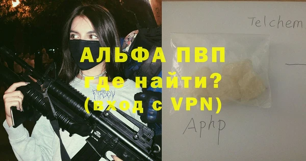 гашик Белокуриха